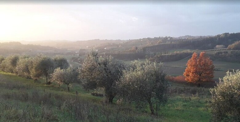 Apartamento Il Colle Toscano