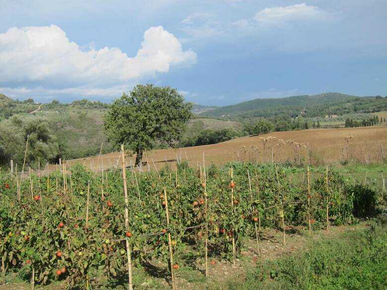 Agroturismo Agriturismo Podere Paugnano