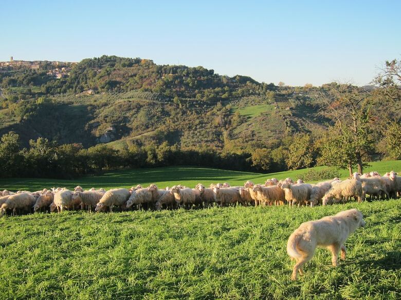 Agroturismo Agriturismo Podere Paugnano