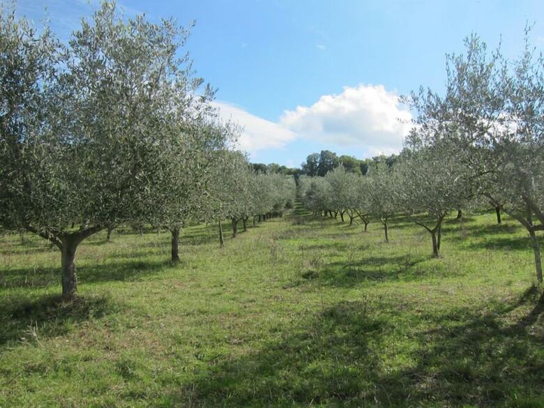 Agroturismo Agriturismo Podere Paugnano
