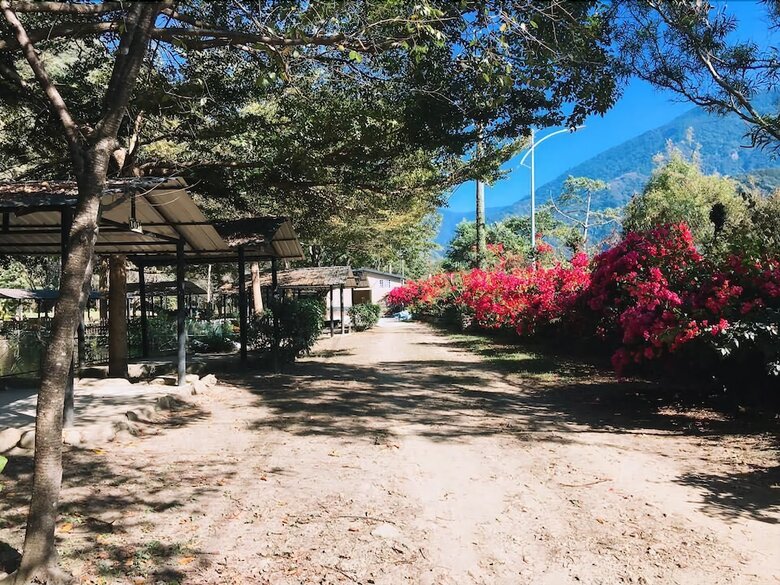 Bed & Breakfast Dumas Homestay