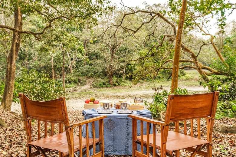 Posada Pashan Garh, Panna National Park