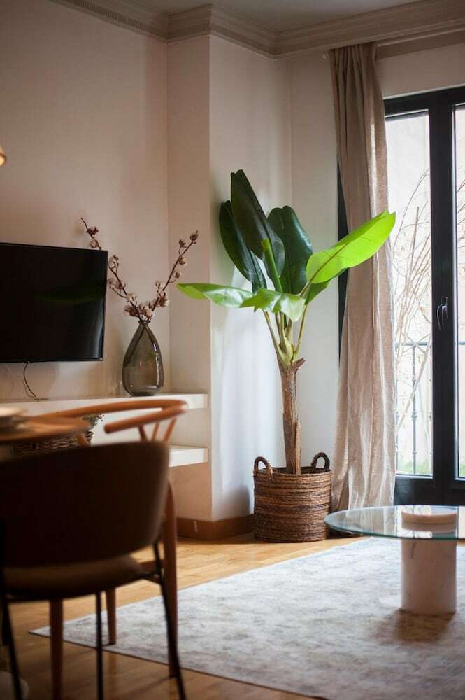 Apartamentos Plaza de Cibeles II
