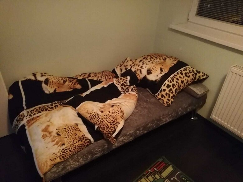 Apartent Klaudius