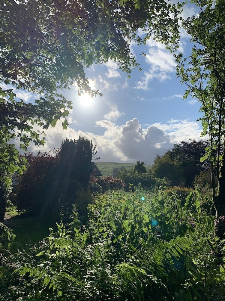 Ty Capel B&B