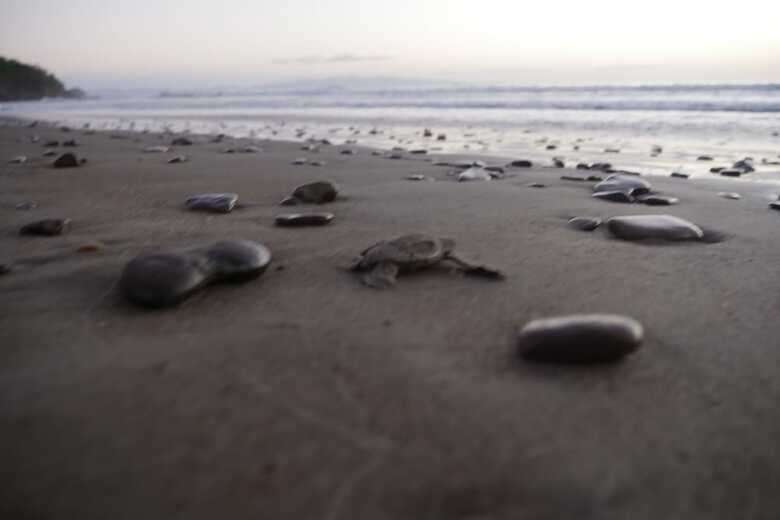 Verdad Nicaragua Beach Hotel & Retreat