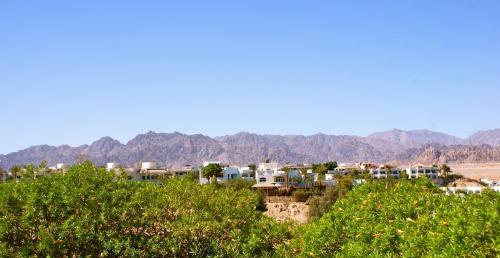 Eden Rock Hotel Sharm El Sheikh