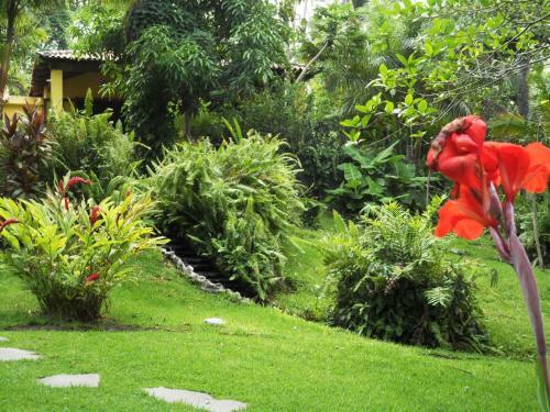 Thermal Paradise Villa