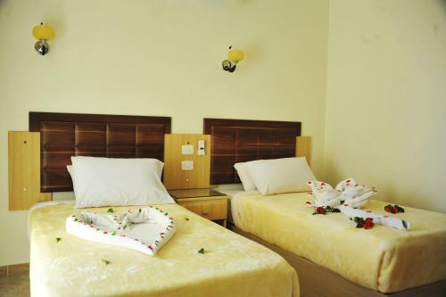Apartamentos Sharks Bay Oasis
