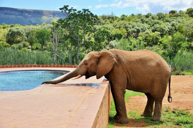 Posada Askari Game Lodge & Spa