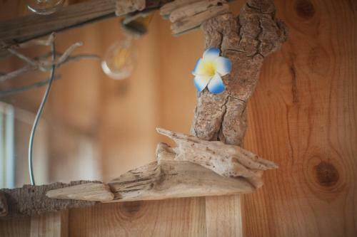Bed & Breakfast � Lac