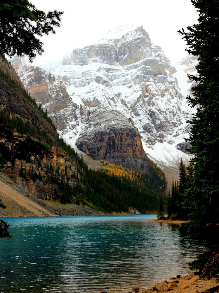 Windtower Lodge - 1 Br Suite