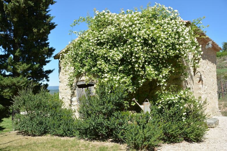 Bed & Breakfast La Couleur Des Vignes