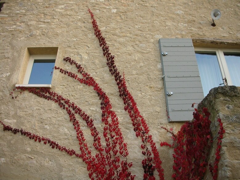 Bed & Breakfast La Couleur Des Vignes