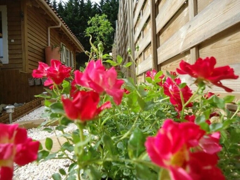 Hotel Le Chalet Des Trois Quilles