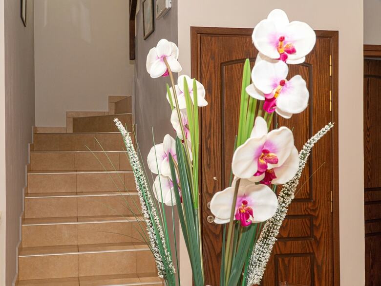 Eleni's Holidays House