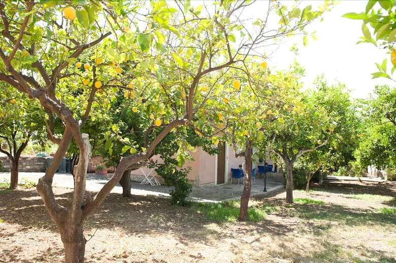 Bed & Breakfast Nel Giardino Dei Limoni