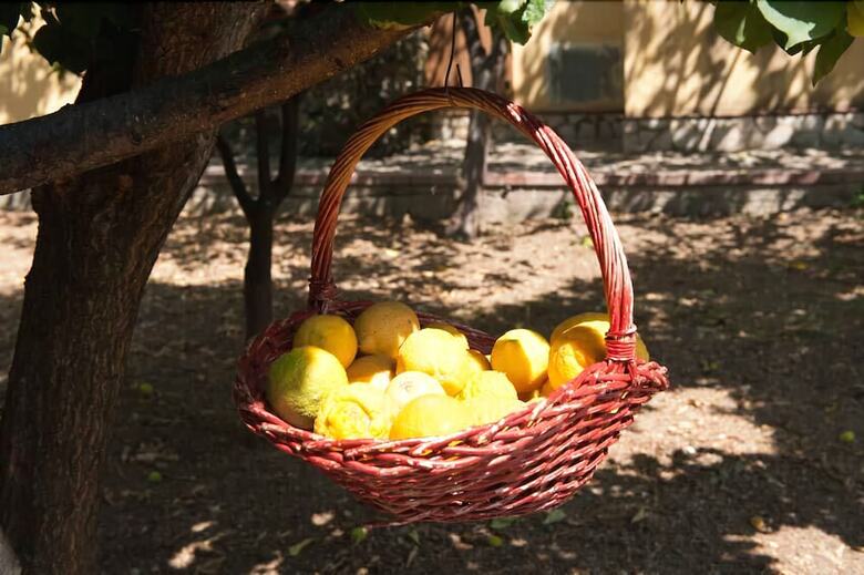 Bed & Breakfast Nel Giardino Dei Limoni