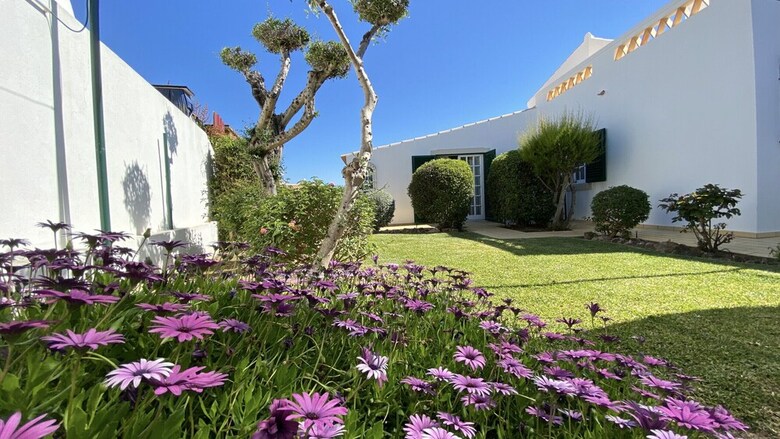 Villa Cip V6 Po�o