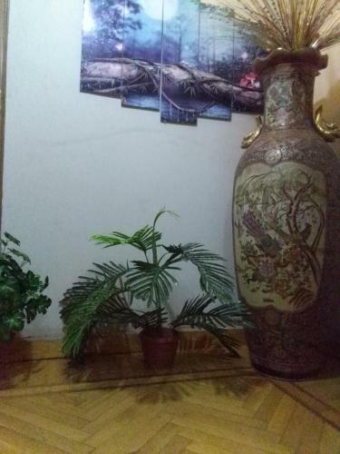 Albergue Star Plaza Guesthouse