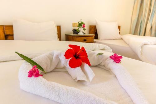 Acacia Dahab Hotel