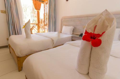 Acacia Dahab Hotel