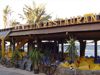 Penguin Village Hotel Dahab