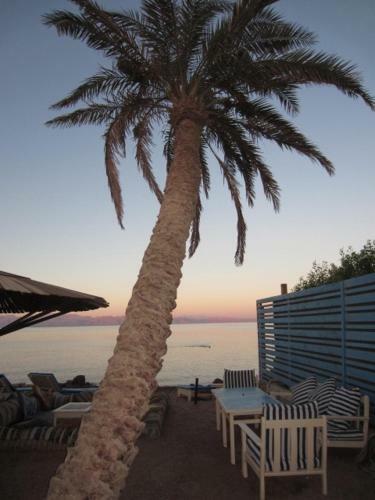 Albergue El Primo Hotel Dahab