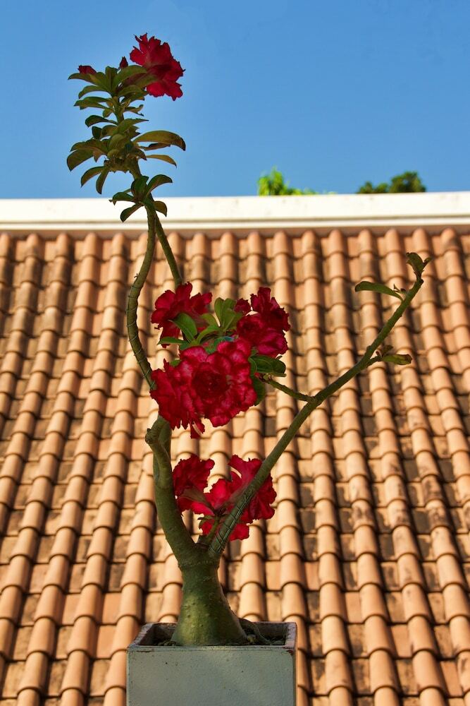 Hotel Heaven - Private Resort Pattaya