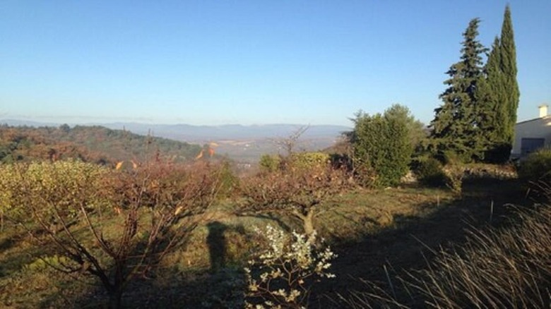 Domaine Montloubier