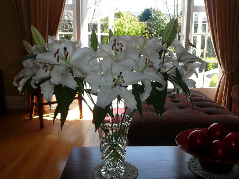 Bed & Breakfast Kershaw House Boutique Accommodation