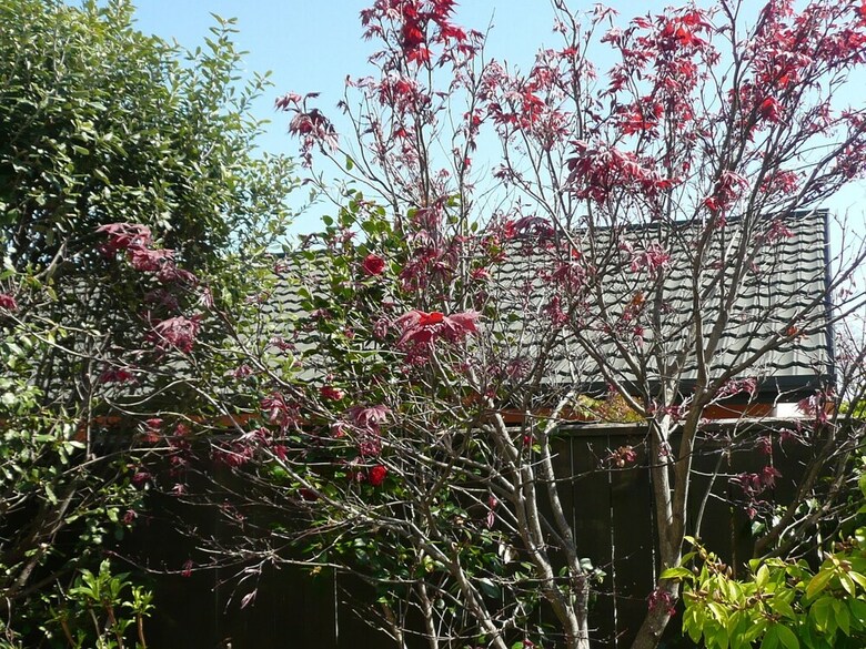 Bed & Breakfast Kershaw House Boutique Accommodation