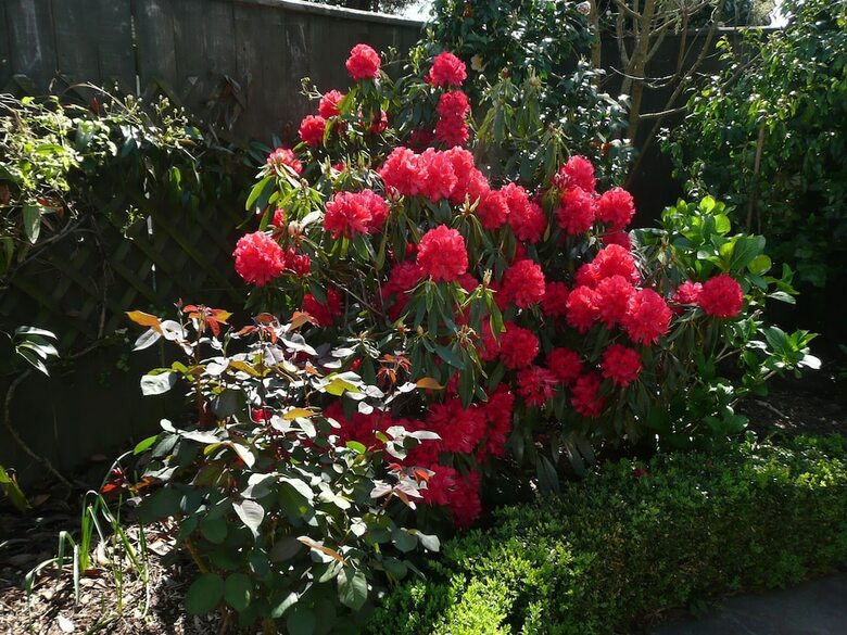 Bed & Breakfast Kershaw House Boutique Accommodation