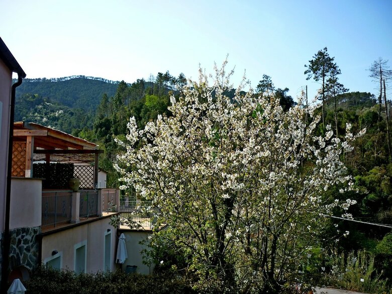 Resort Costa Morroni