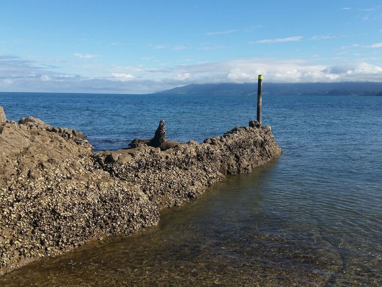 Posada Anglers Lodge