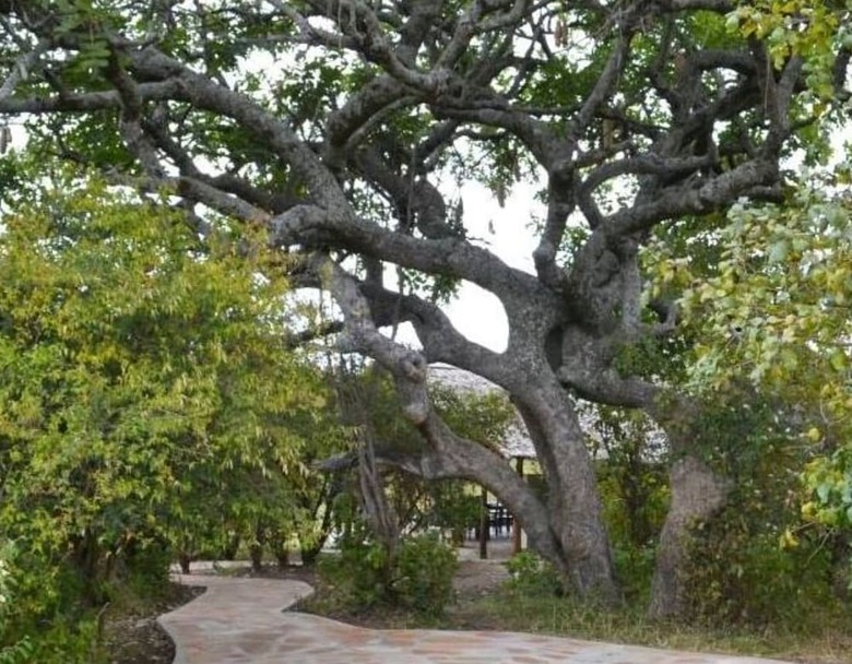 Posada Osero Enarau Camp