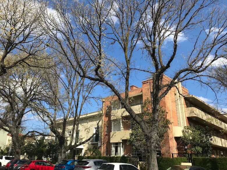 Apartamentos Staycentral On George