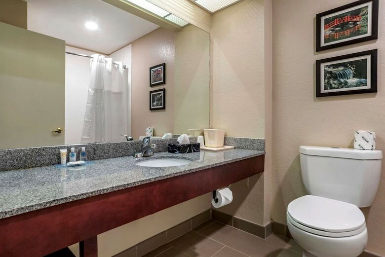 Hotel Comfort Inn Birmingham - Irondale