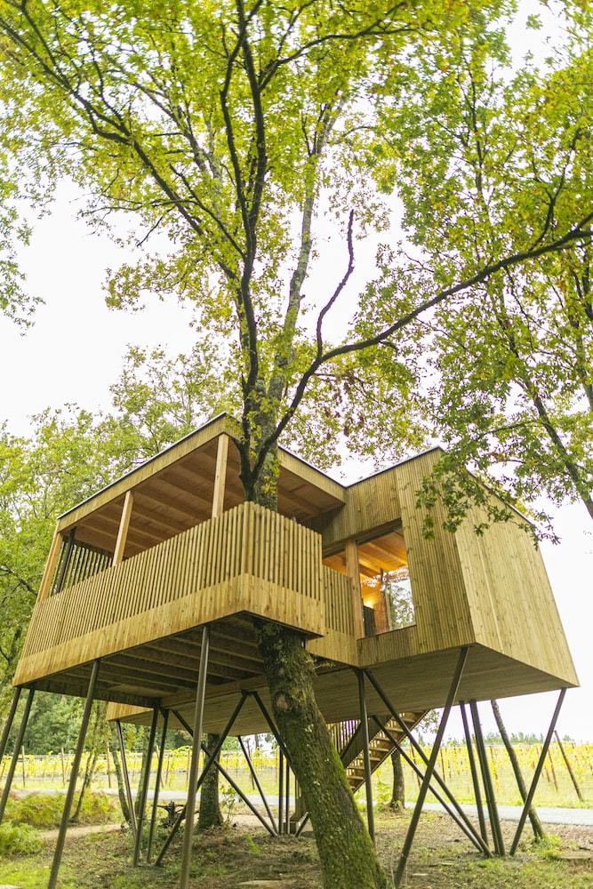 Apartamentos Enoturismo Mar�a Manuela