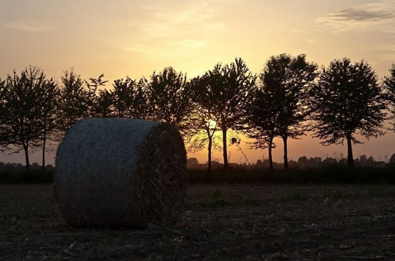Agroturismo Agriturismo Pingitore
