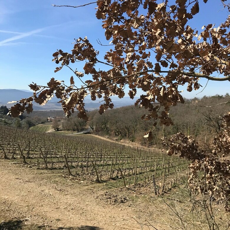 Agroturismo Agriturismo Pingitore