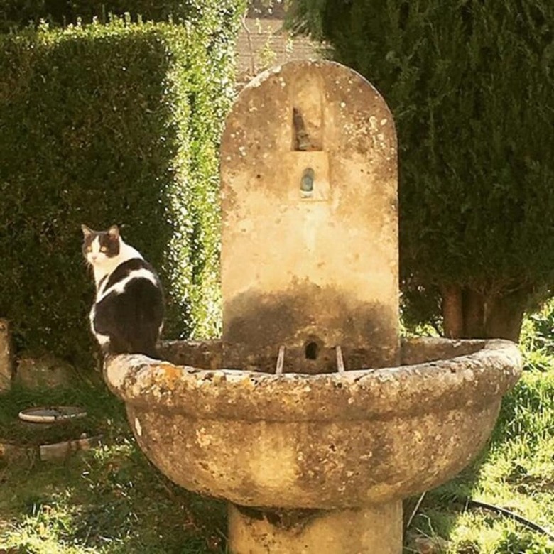Bed & Breakfast La Chambre D'apolline