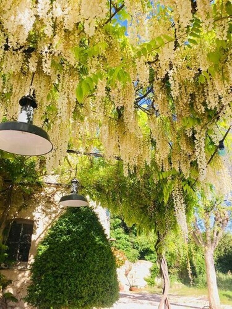 Bed & Breakfast La Chambre D'apolline