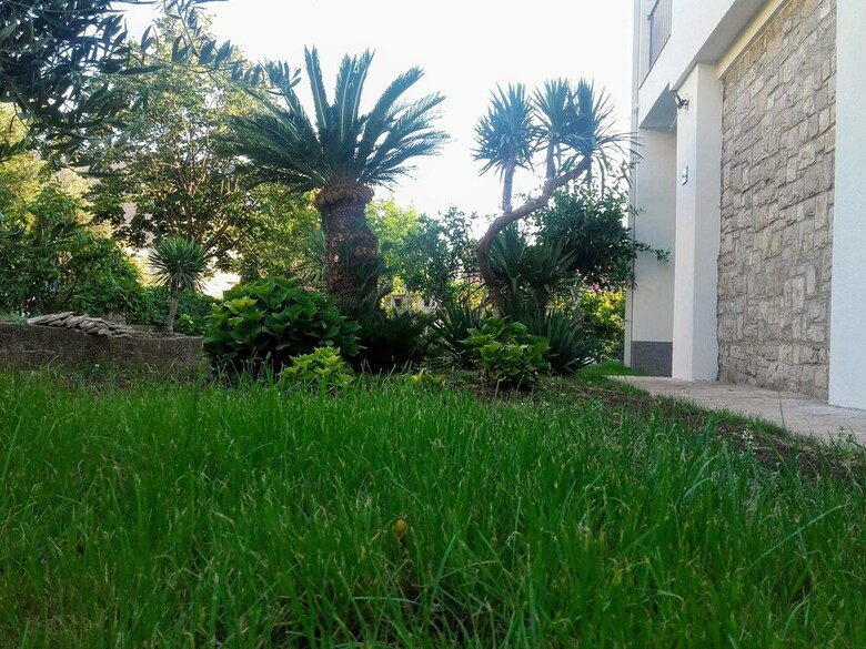 Apartamentos Guest House Djonovic