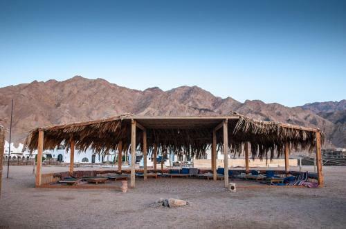 Hotel Daniela Diving Resort Dahab