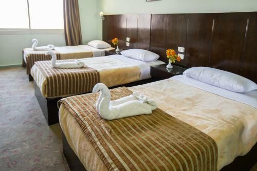 Swiss Inn Hotel