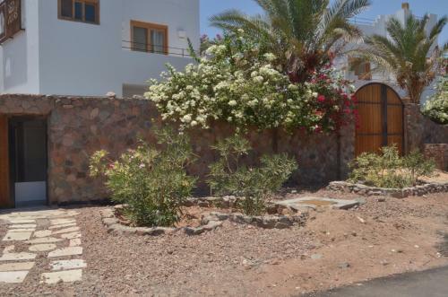 Red C Villas