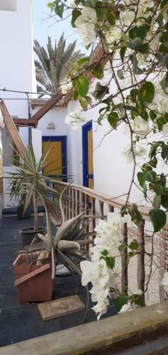 Albergue Neptune Hotel