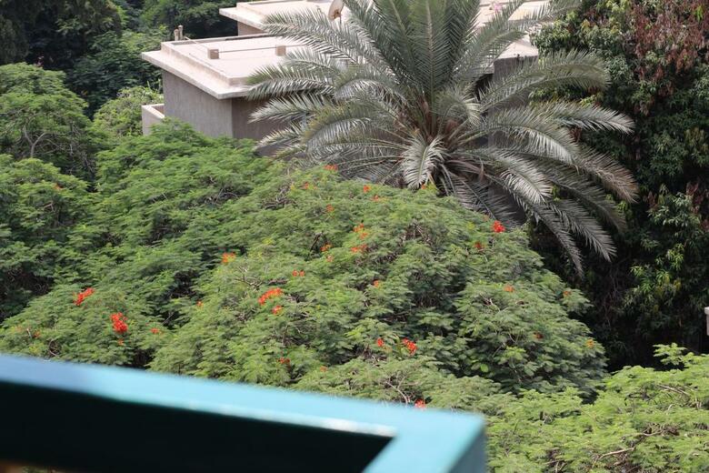 Santana Hotel Cairo