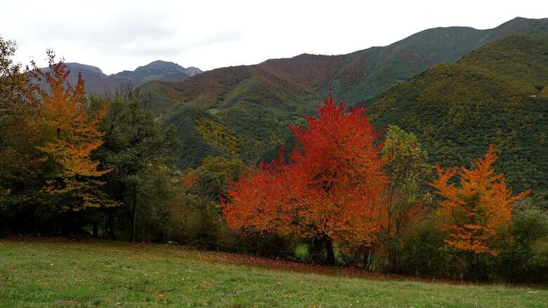Agroturismo Viviendas Rurales Los Llares